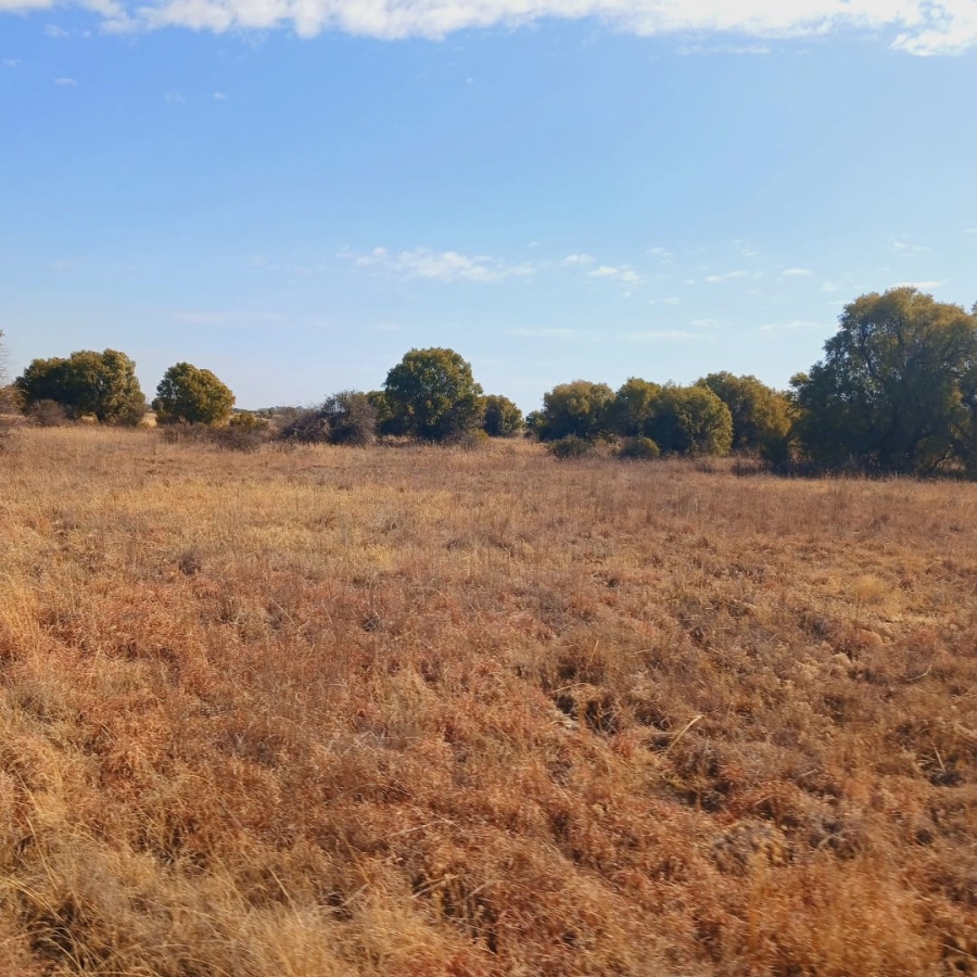  Bedroom Property for Sale in Bloemhof Rural North West